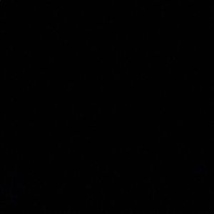 Meet your Posher, Ella